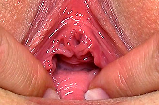 tags: pussy, cunt, twat, vagina, muff, closeups, close ups, close up, closeup, spread, fingering, solo girl, blonde, teen, pussy stretching, great details, zoom, pussy spreader